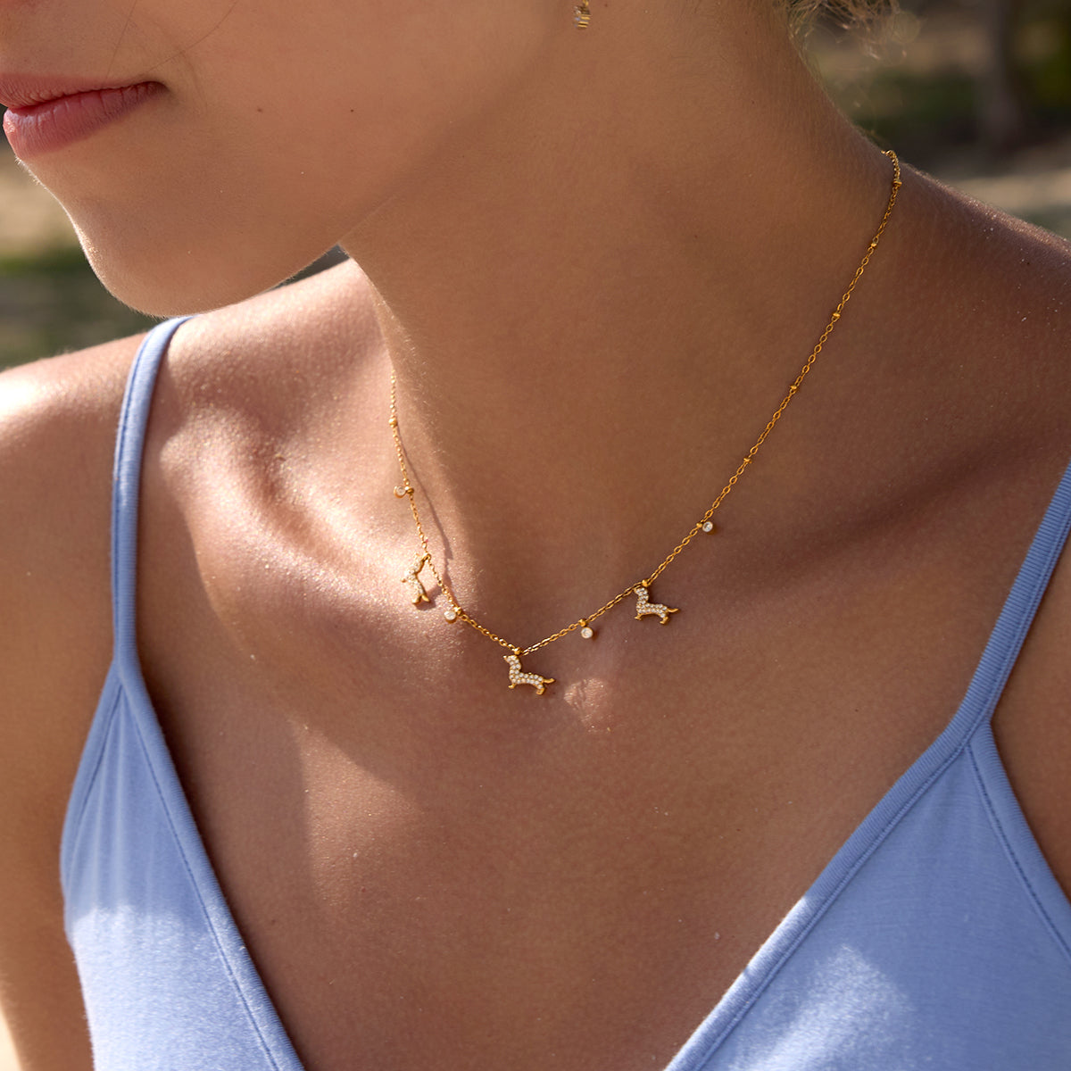 Pave Doggie Chain