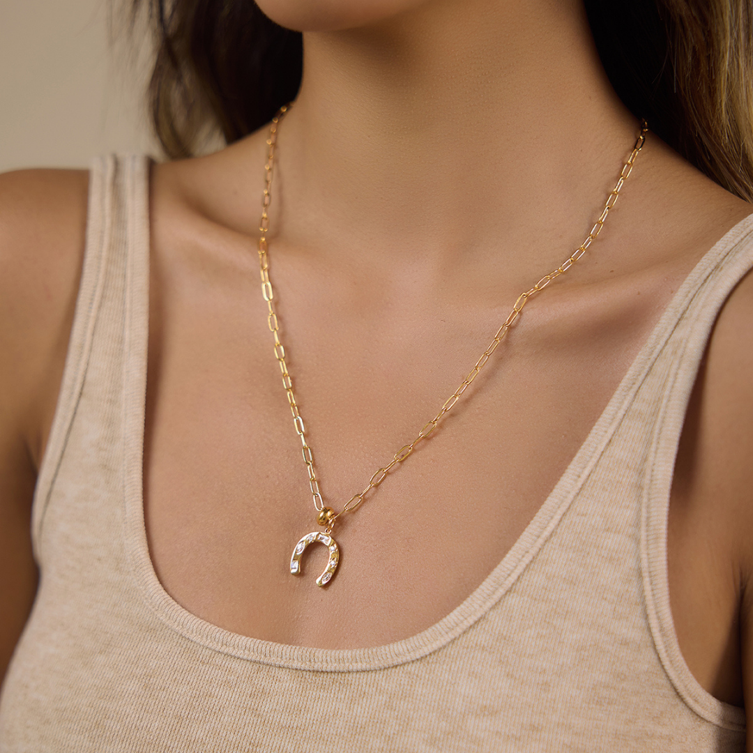 Pre-Order: Horseshoe paperclip chain