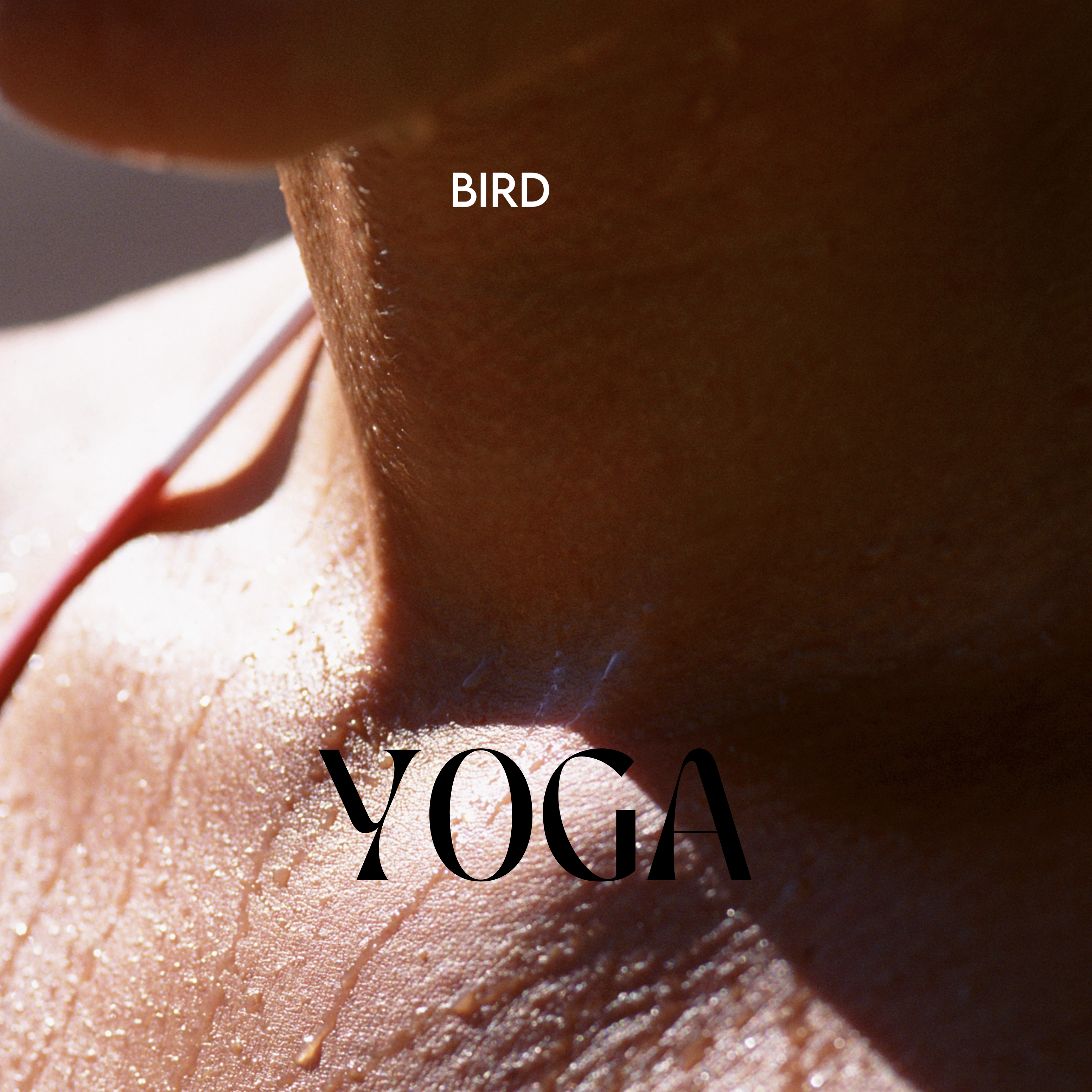 Power YOGA  / 9 am DOMINGO 20 DE JULIO